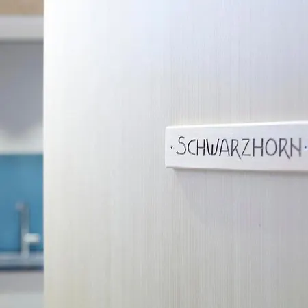 Schwarzhorn By Interhome Brienzwiler