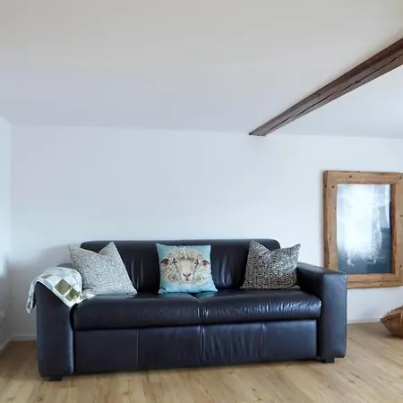 Schwarzhorn By Interhome Brienzwiler