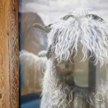 Apartament Schwarzhorn By Interhome *