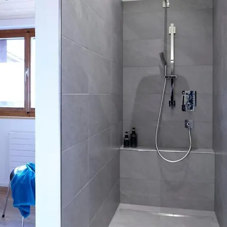 Schwarzhorn By Interhome Apartament Brienzwiler