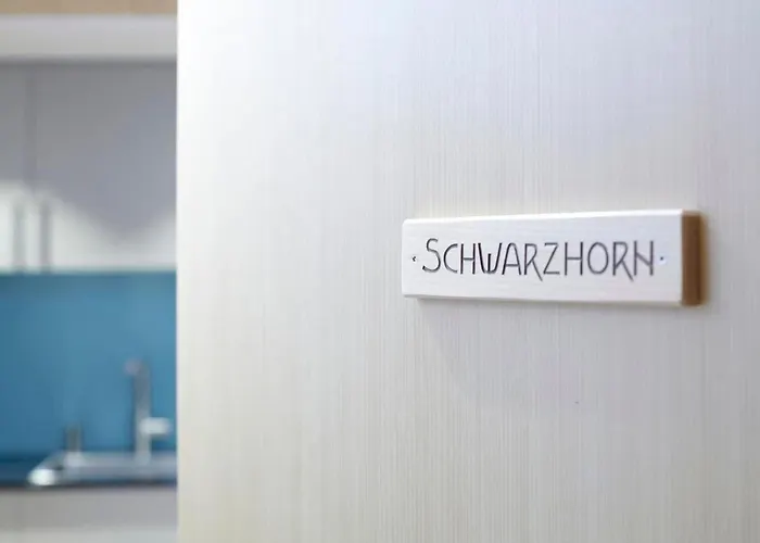 Schwarzhorn By Interhome Brienzwiler