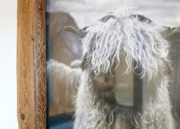 Apartament Schwarzhorn By Interhome *